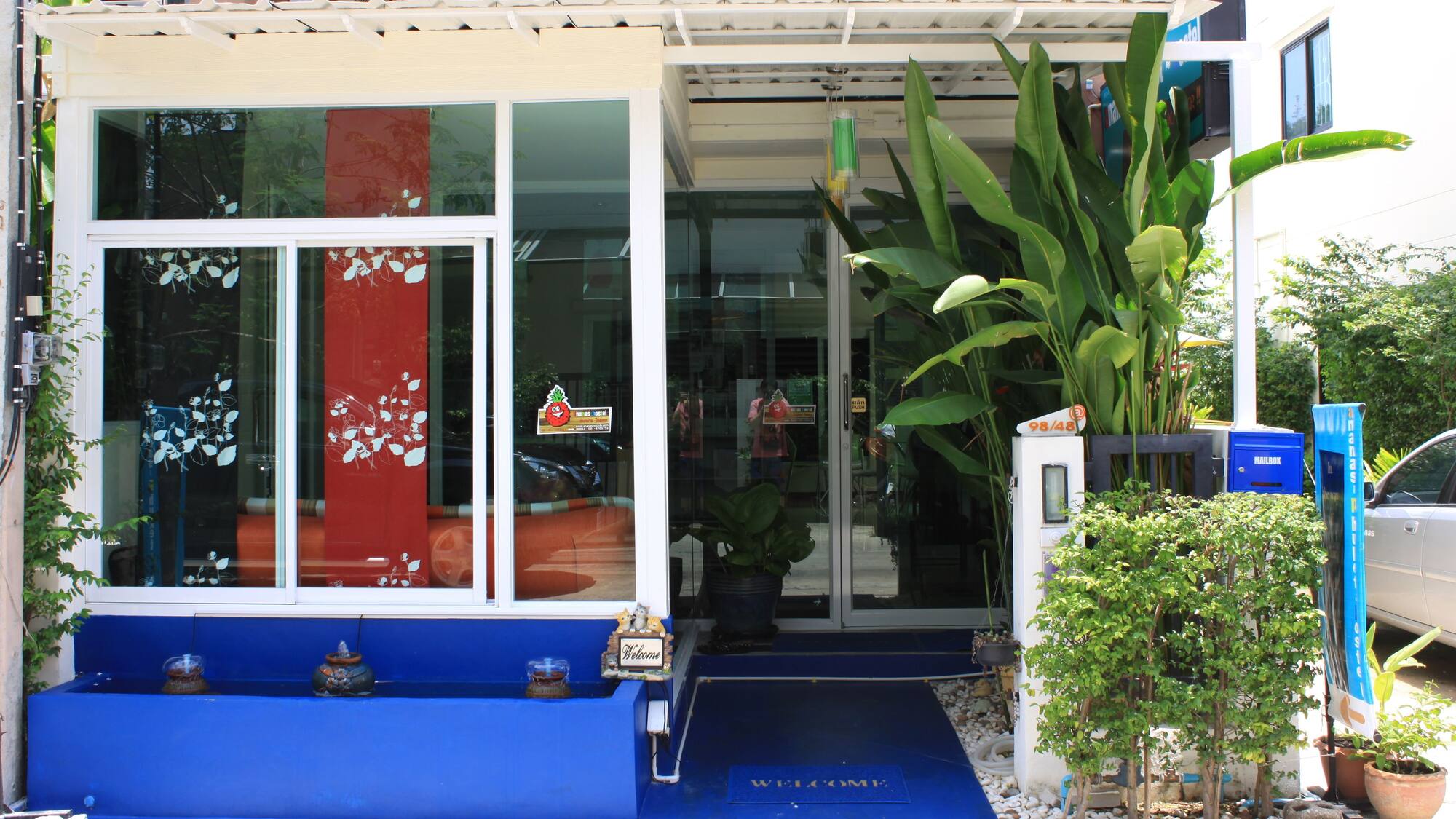 Ананас пхукет Ананас пхукет